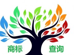 如何應(yīng)對(duì)商標(biāo)查詢盲期？
